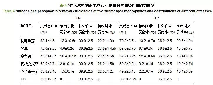 图片 9.png
